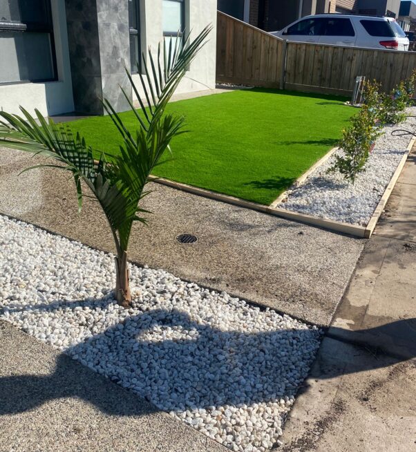 WhatsApp Image 2025-09-01 at 9.38.50 AM (2)